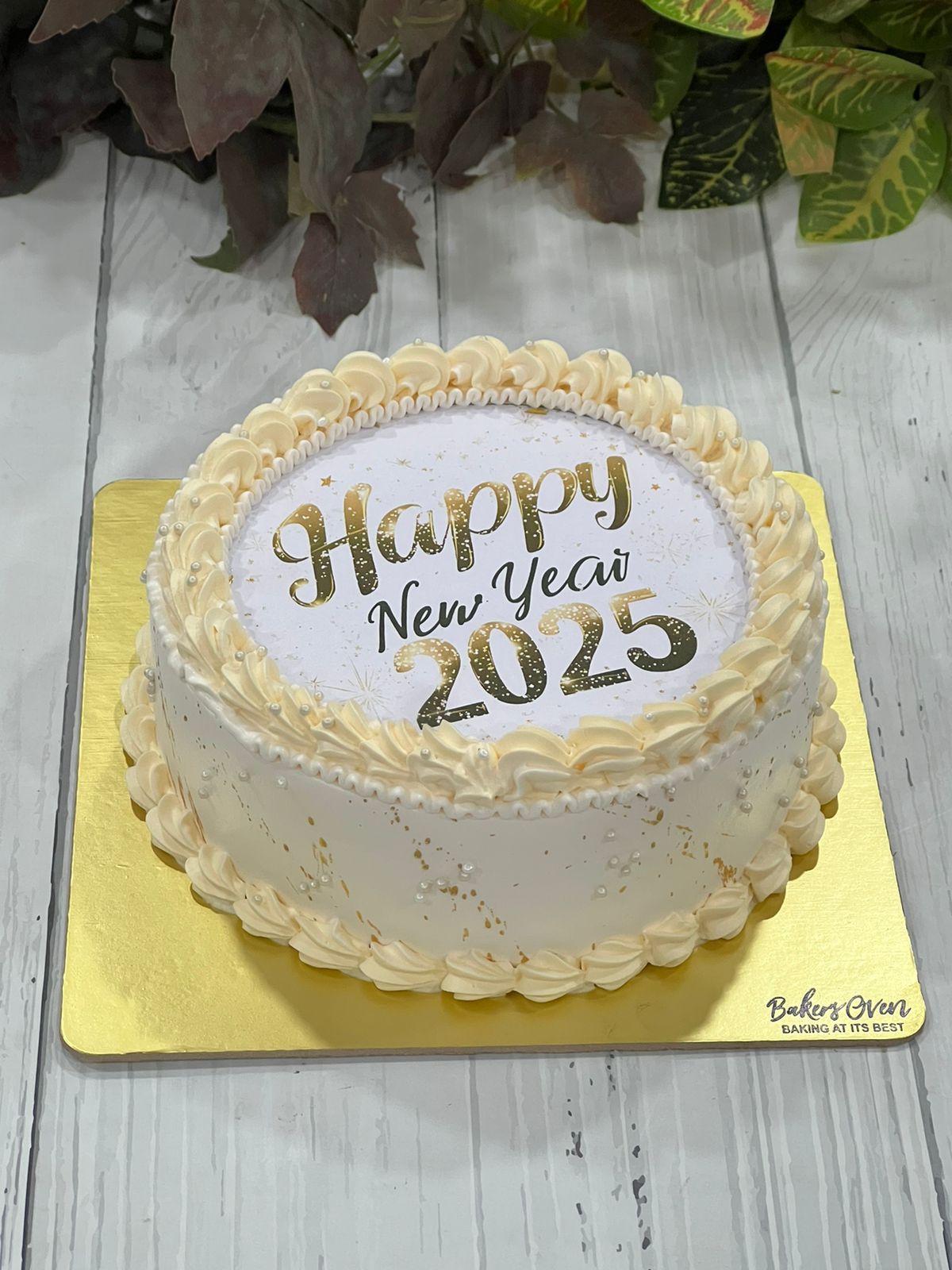 PHOTO-2024-12-28-13-48-49 (4)