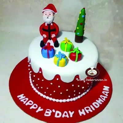 Christmas Santa Cake F