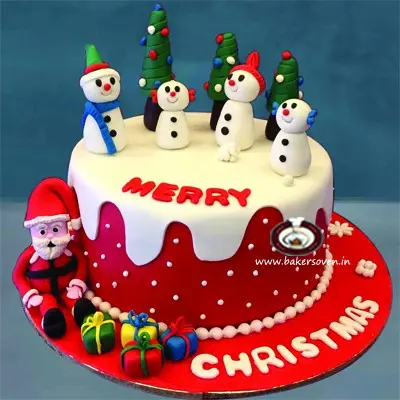 Christmas Santa Cake B